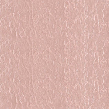 Load image into Gallery viewer, Coral Reef