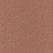 Load image into Gallery viewer, Silk Orchid