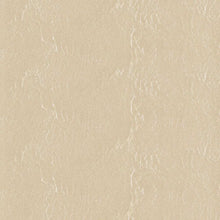 Load image into Gallery viewer, Snow Shine